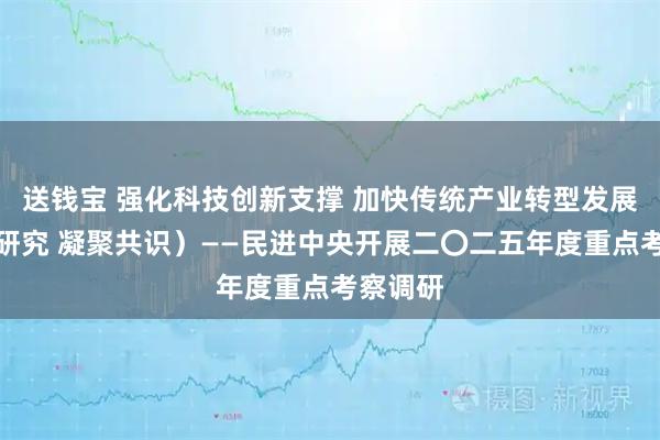 送钱宝 强化科技创新支撑 加快传统产业转型发展(调查研究 凝聚共识)——民进中央开展二〇二五年度重点考察调研