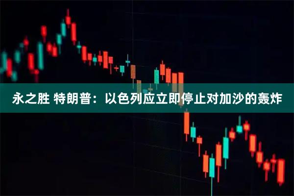 永之胜 特朗普：以色列应立即停止对加沙的轰炸
