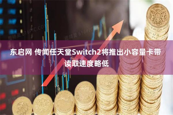 东启网 传闻任天堂Switch2将推出小容量卡带 读取速度略低