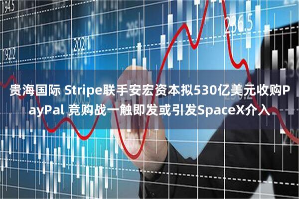 贵海国际 Stripe联手安宏资本拟530亿美元收购PayPal 竞购战一触即发或引发SpaceX介入